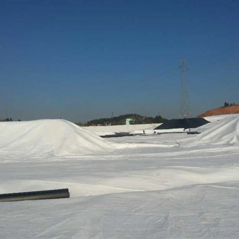 วัสดุใยสังเคราะห์ Geotextile ผ้าไม่ทอ PET 2