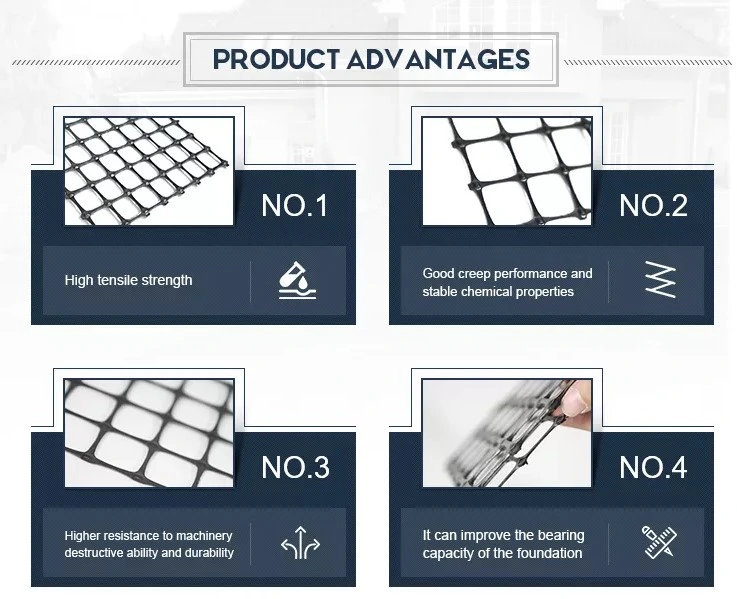 Geogrid โพลีเอสเตอร์ความแข็งแรงสูงสำหรับการเสริมแรงฐานเขื่อนและกำแพงลาดดิน 1