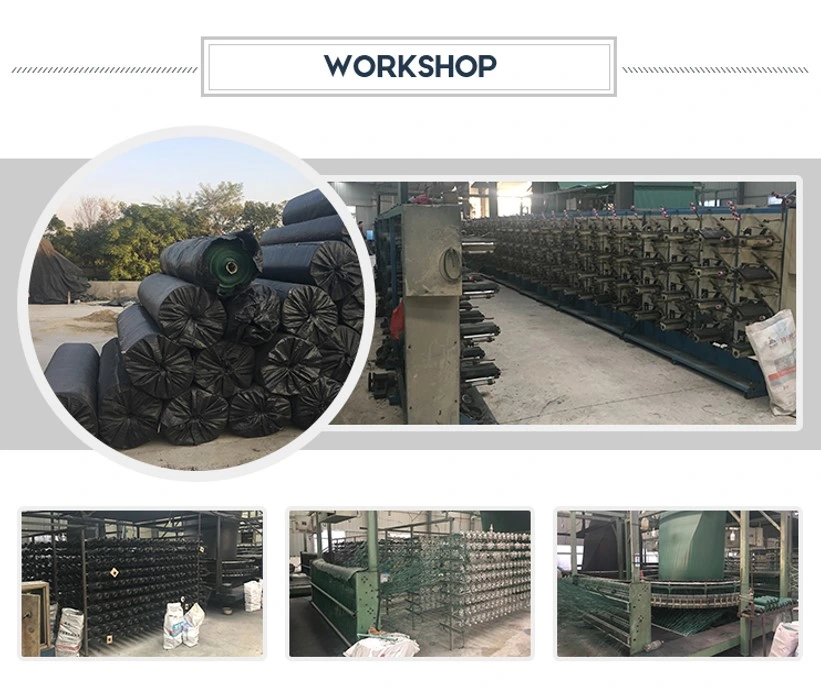 เสถียรภาพผ้าทอที่ผ่านการรับรอง PP Woven Geotextile สำหรับการเสริมแรงของดิน 4