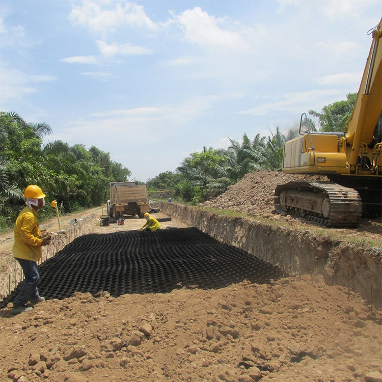 เครือกรอบพื้นดิน HDPE พลาสติกที่ทนทานต่อการกัดกรอบ ใช้ในการก่อสร้างถนน 5