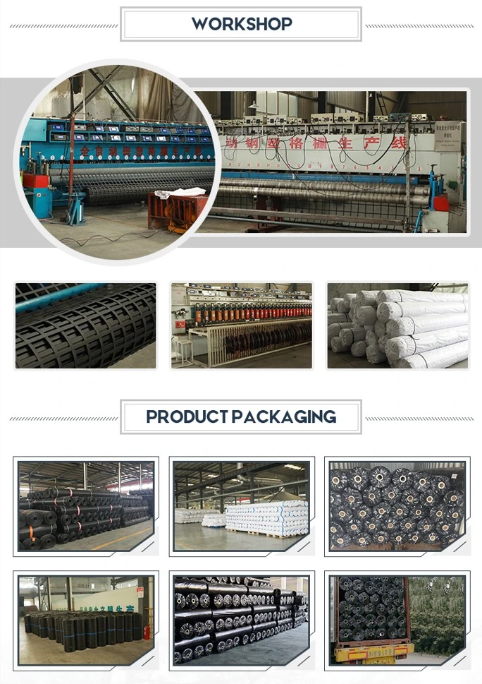 สแตนเลส พลาสติก Geogrid สําหรับ Stabilized ผิวหินหินและเครือข่ายการเสริม 5