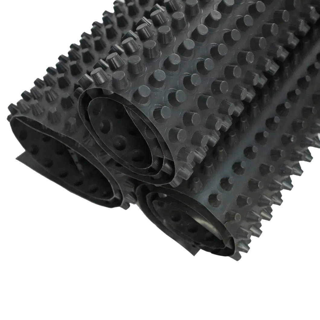 โครงการปรับสีเขียวผิวโครงการระบายน้ําระบายน้ําระบายน้ํา PVC กระดานระบายน้ําระบายน้ําระบายน้ํา 9