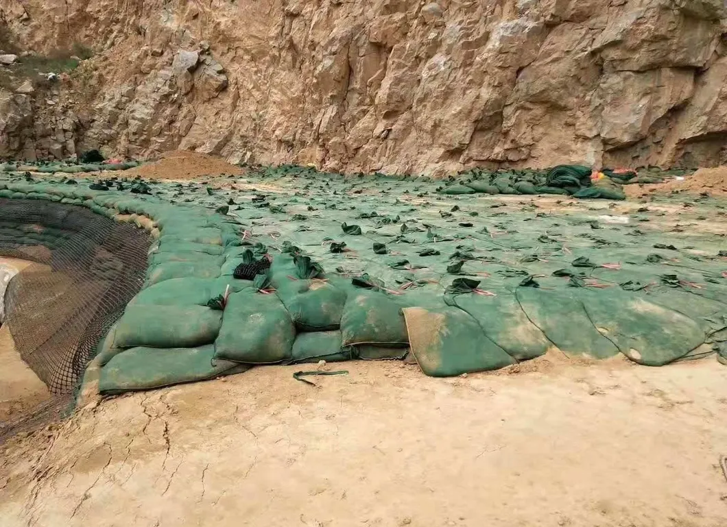 กระเป๋าสะพายน้ําไม่เนื้อ โพลีเอสเตอร์ / PP Geobag สําหรับการป้องกันชันและเขื่อนหญ้าเพื่อปกป้องสิ่งแวดล้อม 0