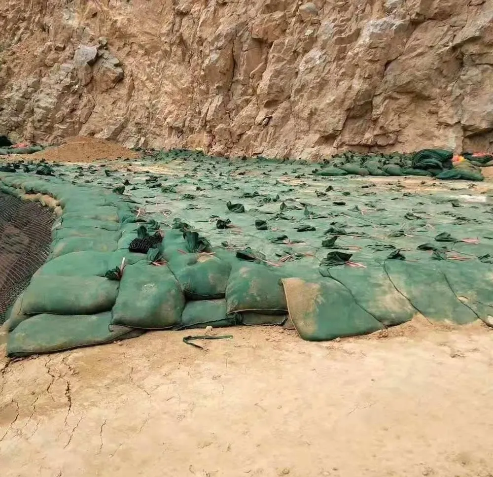 กระเป๋าสะพายน้ําไม่เนื้อ โพลีเอสเตอร์ / PP Geobag สําหรับการป้องกันชันและเขื่อนหญ้าเพื่อปกป้องสิ่งแวดล้อม 11