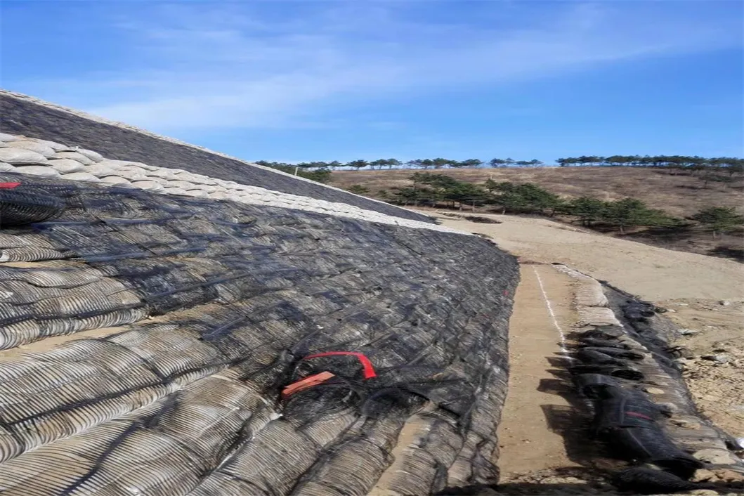 PP พลาสติก PE สายเดียว Polyester Geogrid Gravel Grid Stabilizer สําหรับการเสริมดิน 0