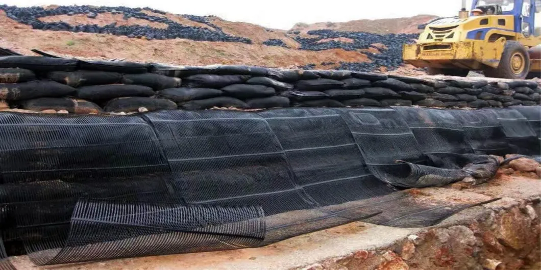 PP พลาสติก PE สายเดียว Polyester Geogrid Gravel Grid Stabilizer สําหรับการเสริมดิน 1