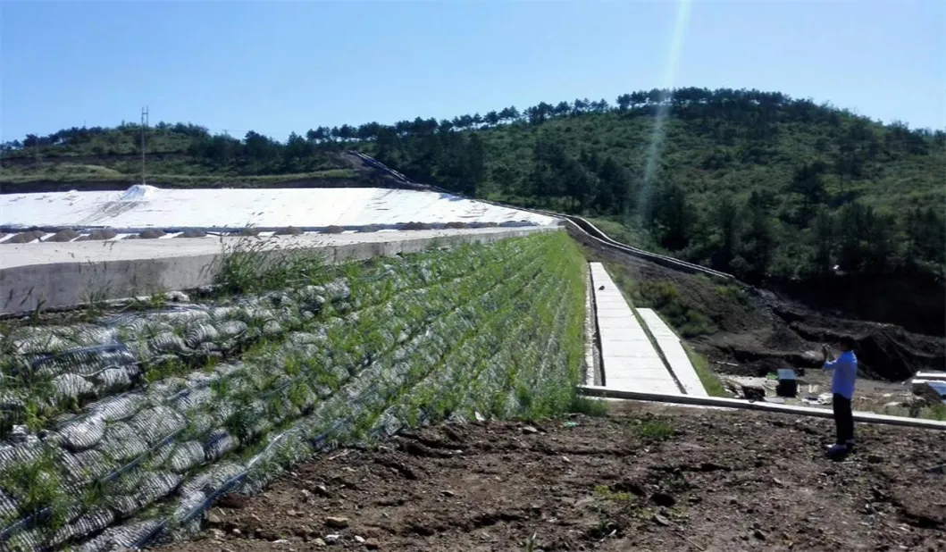 PP พลาสติก PE สายเดียว Polyester Geogrid Gravel Grid Stabilizer สําหรับการเสริมดิน 13