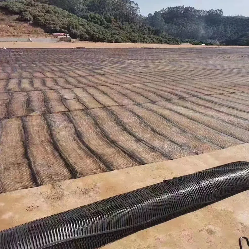 พลาสติก โพลีโปรพีเลน PE มุมเดียว มุมเดียว ยืดยาว พลาสติก Geogrid สําหรับการเสริมสร้างถนน 4