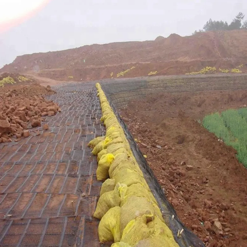 พลาสติก โพลีโปรพีเลน PE มุมเดียว มุมเดียว ยืดยาว พลาสติก Geogrid สําหรับการเสริมสร้างถนน 5