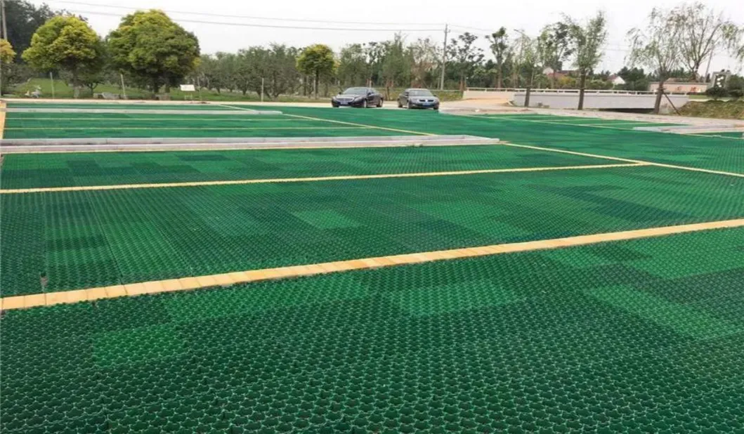 แผ่นผนังพื้นหญ้า ผืนหญ้าที่ผ่านผ่านการปลูกหญ้าปลูก Grid Mold สําหรับการจัดจําหน่ายโรงงาน driveway 13