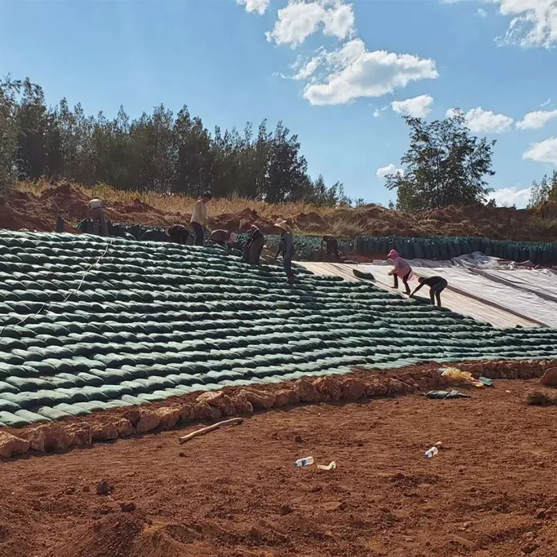 โรงงานอุตสาหกรรม 40*80cm Geotextile Geobag สําหรับการป้องกันหินทางด่วน Geotextile Geobag การปลูกป่า การปลูกหญ้า การควบคุมน้ําท่วม Geotextile Geobag 5