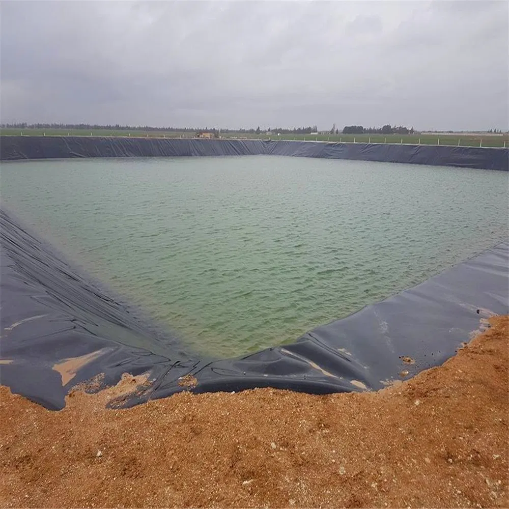 โพลีเอธิลีนกลางแจ้งฟาร์มปลา ผนังกีโอเพลส ผนังสระ HDPE ผนังสระขนาดใหญ่ ผนังสระกันน้ํา ผนังสระ 2