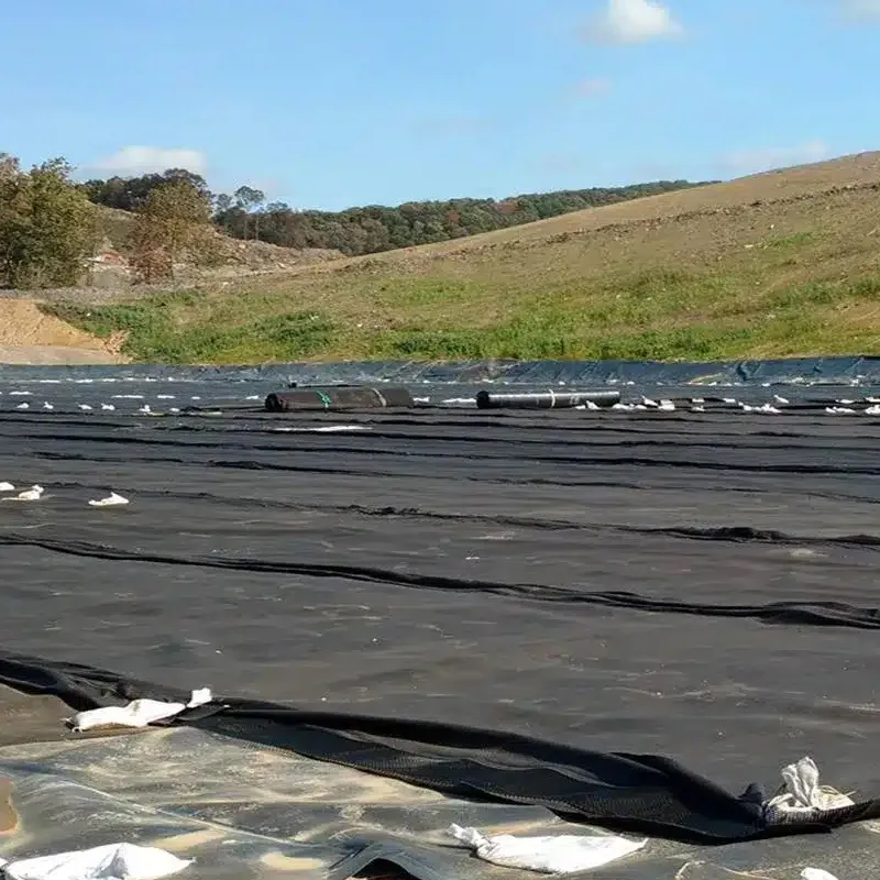 ราคาโรงงาน 100% Virgin Polyethylene ความหนาแน่นสูง Anti-Seepage กันน้ํา เนื้อเยื่อเรียบ HDPE Geomembrane สระปูปูปูปูปูปูปูปูปูปูปูปูปูปูปูปูปูปูปูปู 0
