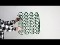 ตารางหญ้า