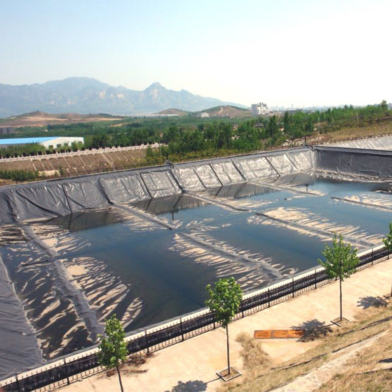 น้ํากัน HDPE Geomembrane ทะเลส้วมสําหรับถังน้ํา ปลา Shrimp Farm 0.2 - 2.5mm