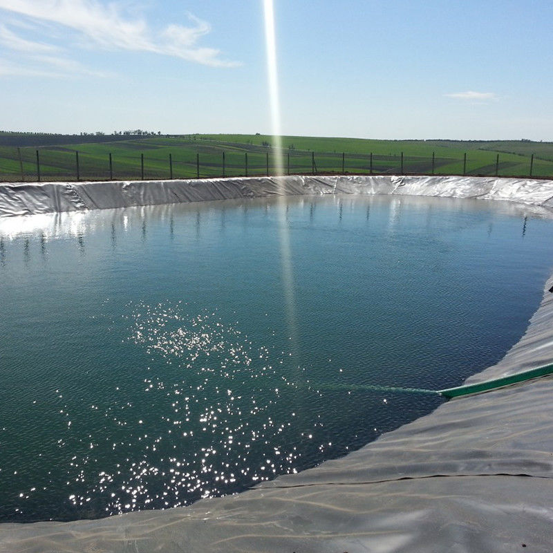 น้ํากัน HDPE Geomembrane ทะเลส้วมสําหรับถังน้ํา ปลา Shrimp Farm 0.2 - 2.5mm