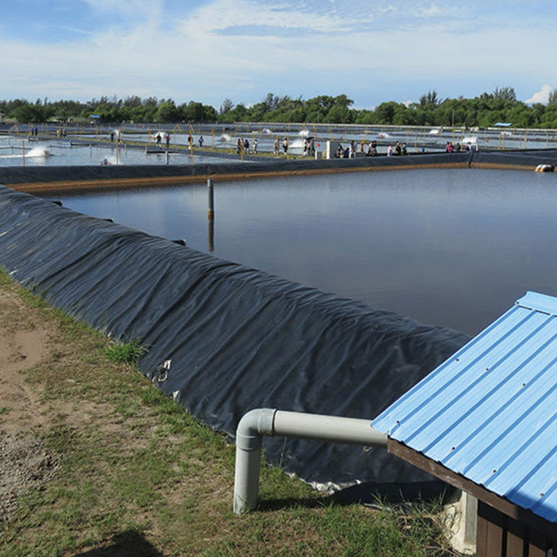 น้ํากัน HDPE Geomembrane ทะเลส้วมสําหรับถังน้ํา ปลา Shrimp Farm 0.2 - 2.5mm
