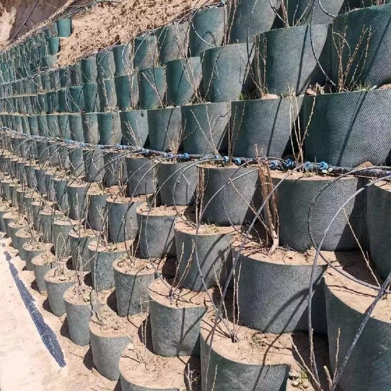เครือกรอบพื้นดิน HDPE พลาสติกที่ทนทานต่อการกัดกรอบ ใช้ในการก่อสร้างถนน