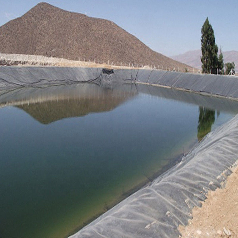 0.3mm/0.5mm/0.75mm/1mm/1.5mm/2mm Black Membrane พลาสติกแผ่น HDPE LDPE LLDPE Virgin Geomembrane Liner สําหรับปลากุ้ง F