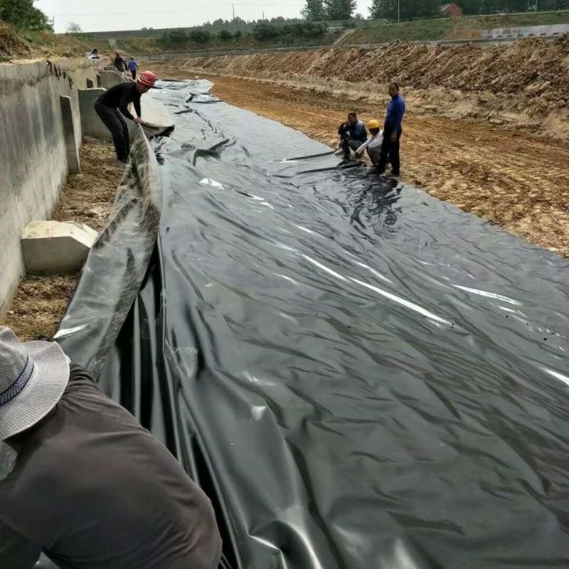 0.5mm 1mm 1.5mm พลาสติก กันน้ํา สัตว์เลี้ยงปลา Geomembrane Hdpe Liner สัตว์เลี้ยงปลา Wholesale Geomembrane Pond Liner