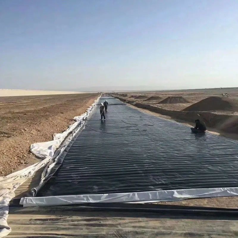 0.5mm 1mm 1.5mm พลาสติก กันน้ํา สัตว์เลี้ยงปลา Geomembrane Hdpe Liner สัตว์เลี้ยงปลา Wholesale Geomembrane Pond Liner