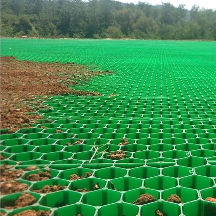 เครื่องปรับพื้นหญ้าที่ผ่านกระบวนการหนัก เครื่องปรับพื้นหญ้า HDPE พลาสติก เครื่องปรับพื้นหญ้าสําหรับทางเดิน