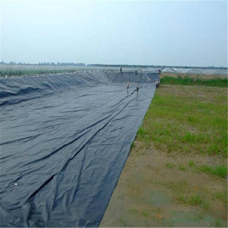 HDPE High Definition Polyethylene Liner สไตล์การออกแบบอุตสาหกรรมสําหรับปลาและปลากุ้ง
