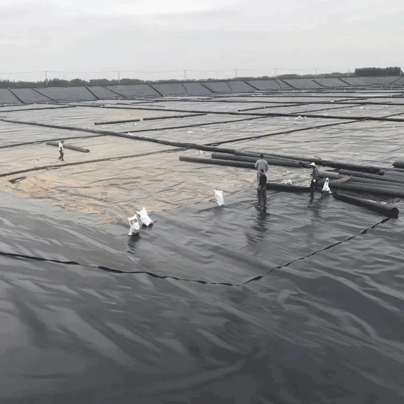 แผ่นซับ Geomembrane HDPE สีดำคุณภาพสูง 0.5 มม. – 2.0 มม. สำหรับการเลี้ยงปลา บ่อเพาะเลี้ยงสัตว์น้ำ อ่างเก็บน้ำ และงานกันซึมเขื่อน