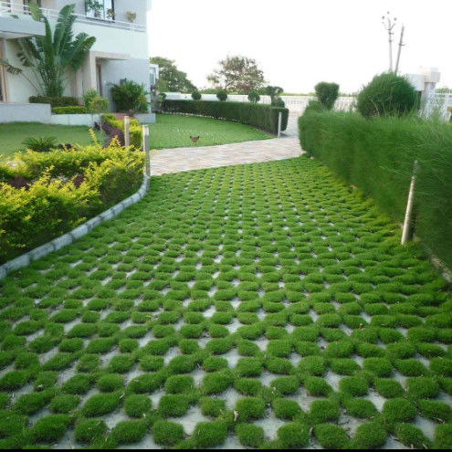 พลาสติก พลาสติกหญ้ากรีดสําหรับที่จอดรถ ไฟออก HDPE Pavers Geogrid สําหรับภูมิทัศน์ แผ่นดิน Geocell หญ้า Paddock Grid