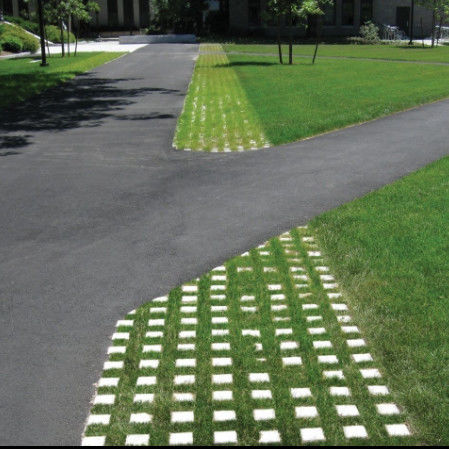 พลาสติก พลาสติกหญ้ากรีดสําหรับที่จอดรถ ไฟออก HDPE Pavers Geogrid สําหรับภูมิทัศน์ แผ่นดิน Geocell หญ้า Paddock Grid