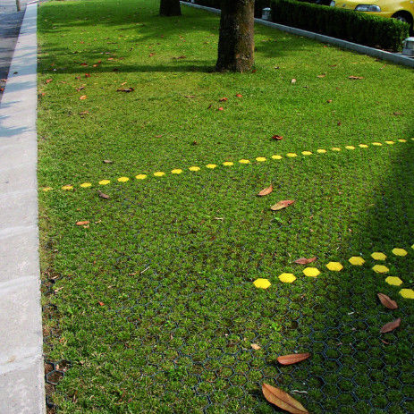 พลาสติก พลาสติกหญ้ากรีดสําหรับที่จอดรถ ไฟออก HDPE Pavers Geogrid สําหรับภูมิทัศน์ แผ่นดิน Geocell หญ้า Paddock Grid