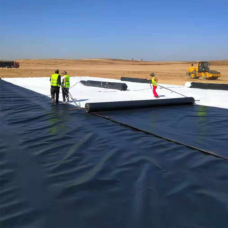 0.3mm/0.4mm/0.6mm/0.75mm/1mm/1.4mm/1.5mm 20มิล 30มิล 40มิล HDPE Geomembrane ทะเลส้วย / Geomembrane ผู้ผลิต ราคาโรงงานจําหน่าย