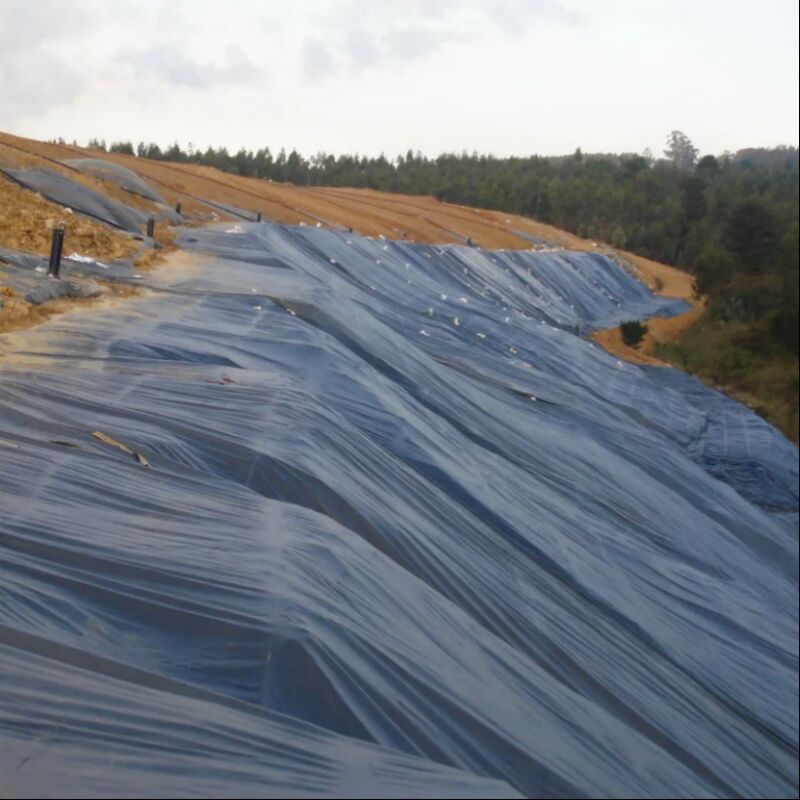 กันน้ํา ผิวเรียบ ด้านการเกษตร ผนังสระน้ํา การปลูกปลา กุ้ง ทะเลเทียม ถังขยะ HDPE Geomembrane